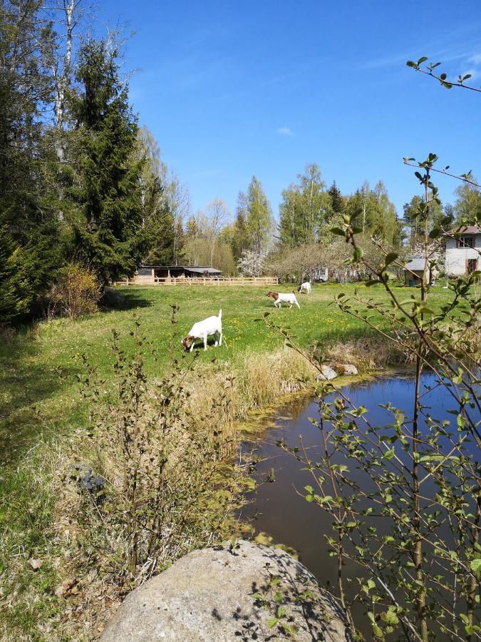 Atputas Vieta Raudini Hotel Kaltene Kültér fotó