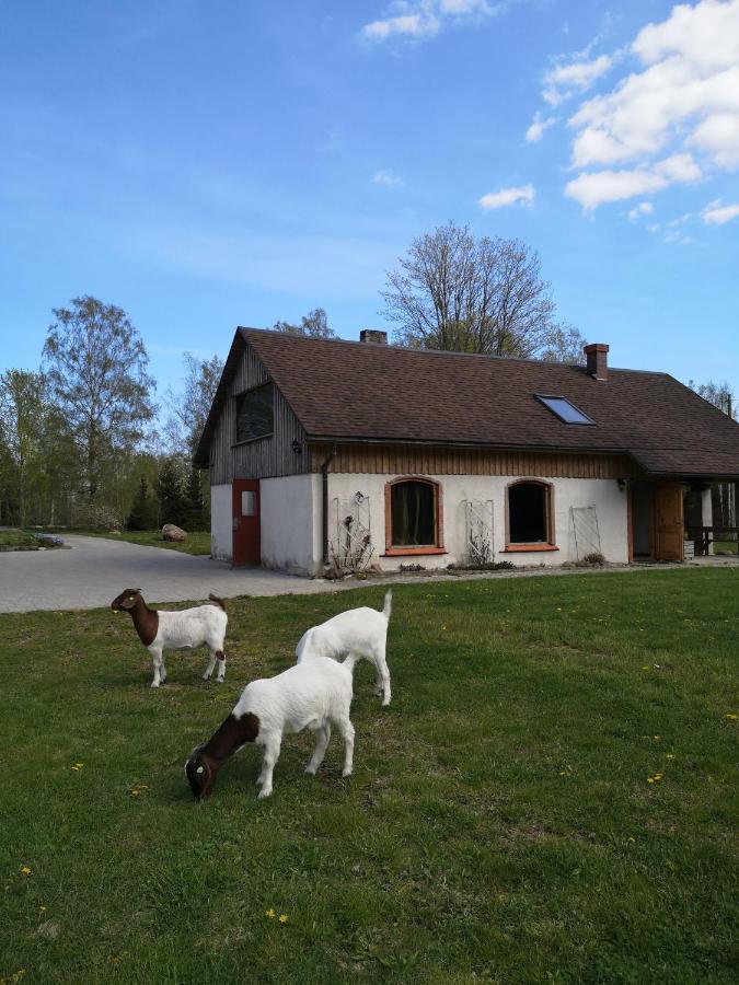 Atputas Vieta Raudini Hotel Kaltene Kültér fotó