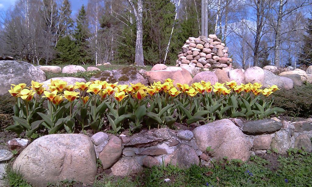 Atputas Vieta Raudini Hotel Kaltene Kültér fotó