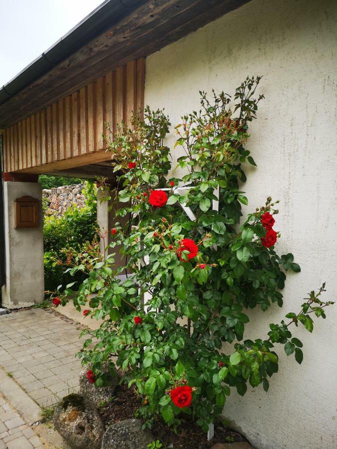 Atputas Vieta Raudini Hotel Kaltene Kültér fotó